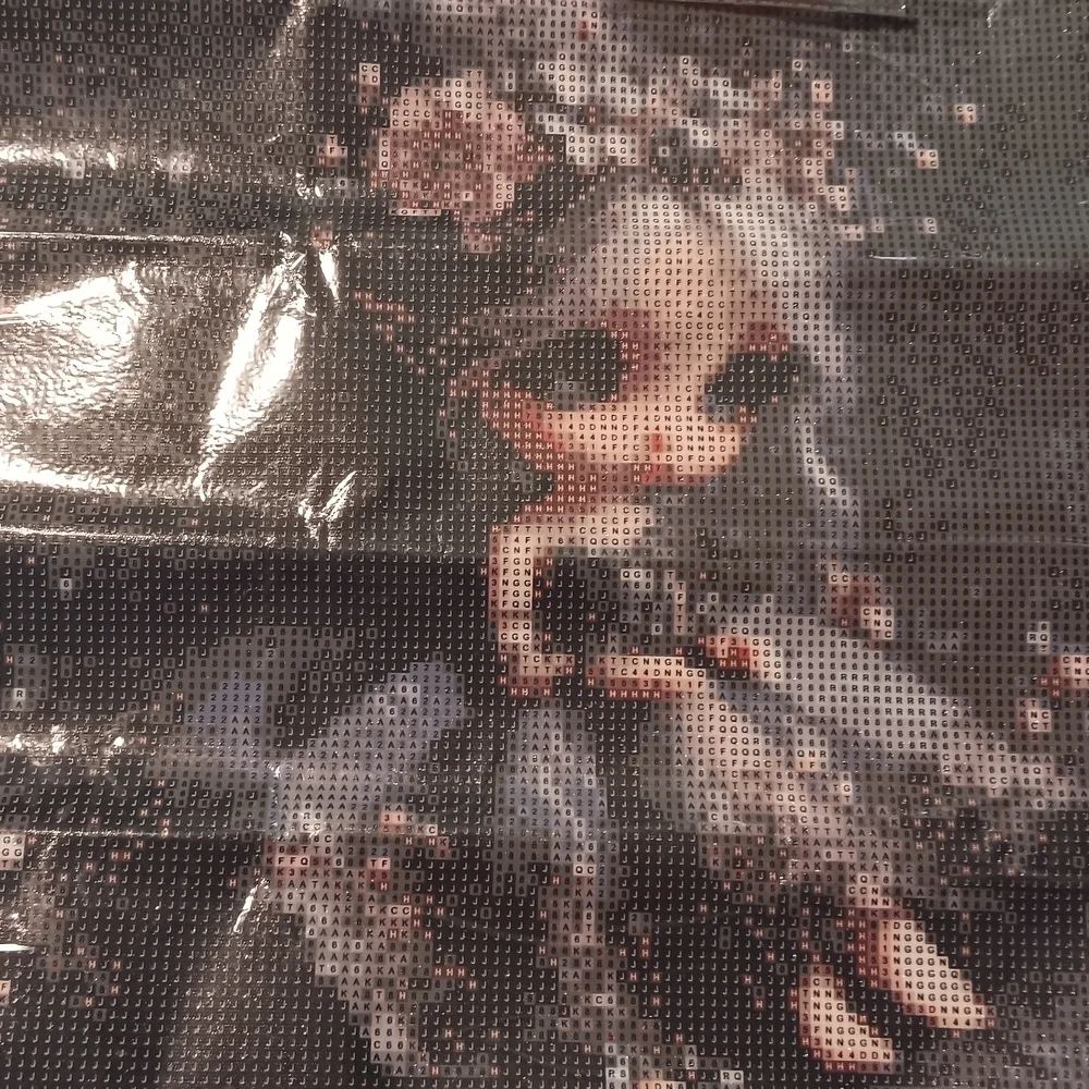 Diamond Painting Kit with Girl Design 40x40